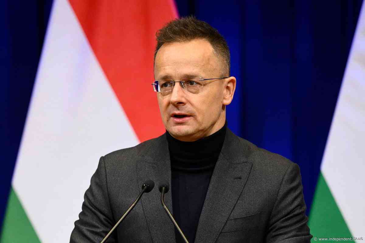 Former Hungarian foreign minister resigns from parliament for job with Chinese automaker