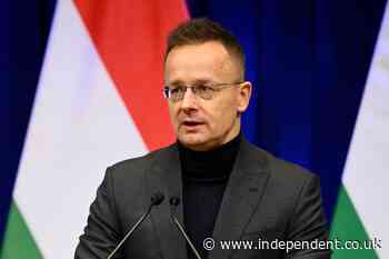 Former Hungarian foreign minister resigns from parliament for job with Chinese automaker