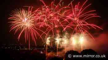 Loud fireworks to be banned outside professional displays to end 'nightmare'
