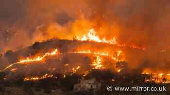 Seven British nationals among 13 killed in deadly Spanish wildfires