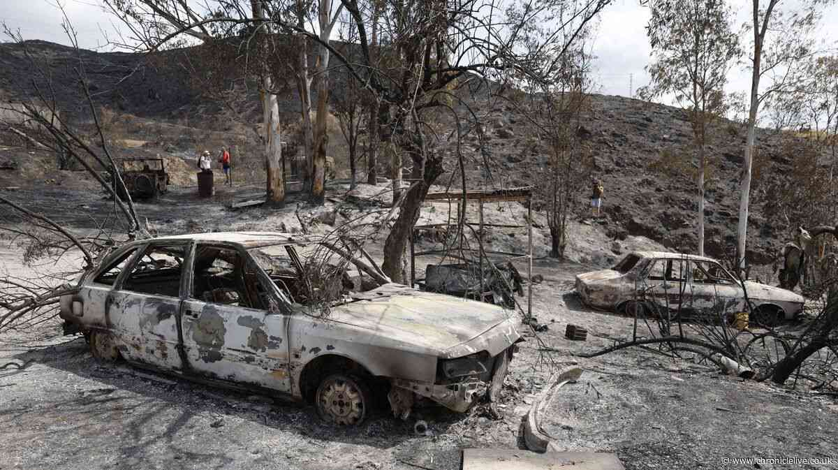 Wildfire horror as seven Brits including woman, 93, killed in Spain
