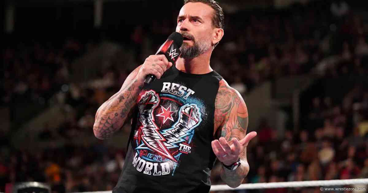 WWE Hall Of Famer Wishes CM Punk Was Still In AEW