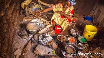 The 'Kilimanjaro diet' is the latest plan that claims to slash disease risk - research on African tribes suggests meals of millet and banana could protect your heart