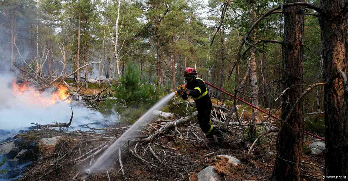 Het bos bij Parijs brandt. ‘Laten we niet vergeten dat deze branden mogelijk zijn gemaakt door de extreme droogte als gevolg van klimaatverandering’