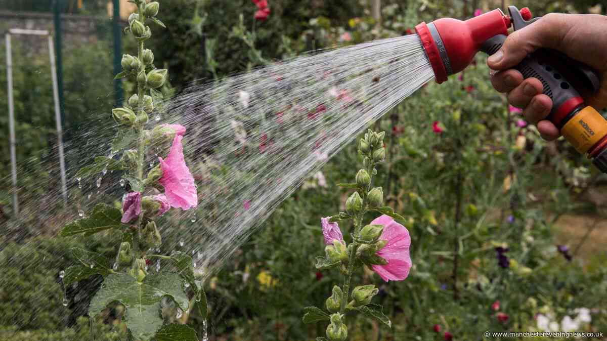 Gardeners urged to follow 9am rule during UK heatwave