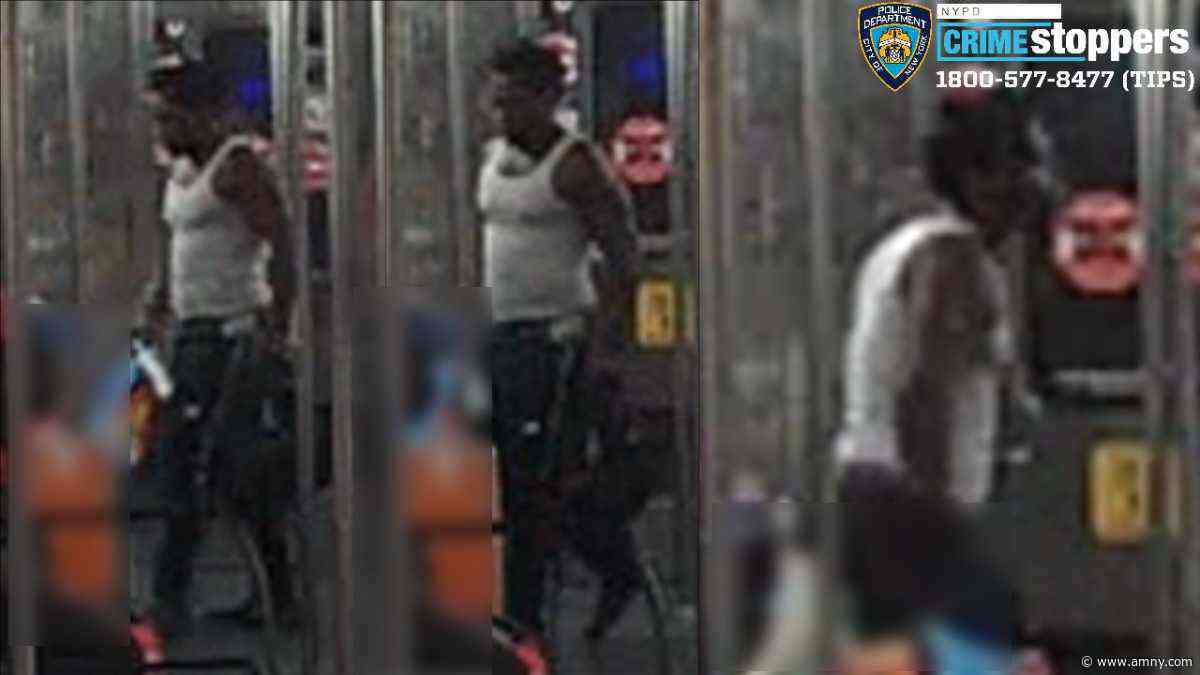 Bronx subway shover sought for random attack on straphanger, pushing him head-first toward oncoming D train