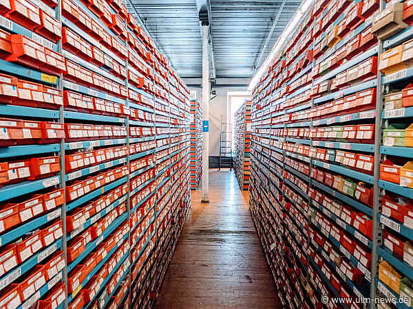 Effiziente Lagerorganisation für regionale Unternehmen: So nutzen Betriebe ihre Flächen besser