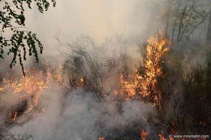 Incendies de forêt : le gouvernement annonce un grand plan d’investissement pour protéger la forêt française