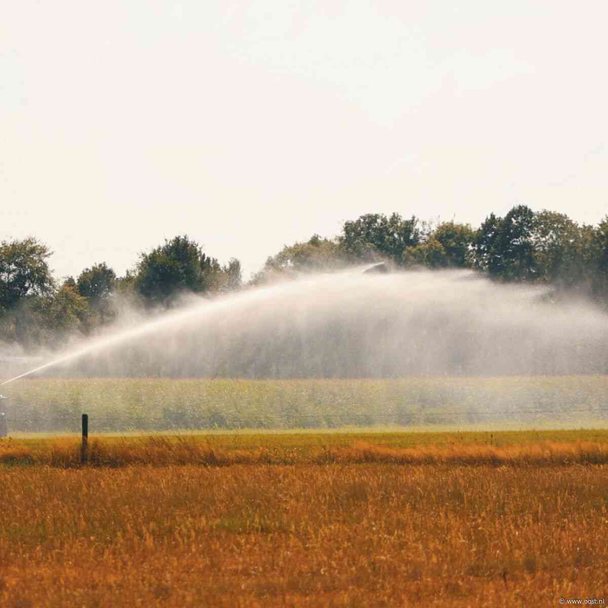 Waterschappen nemen maatregelen tegen aanhoudende droogte