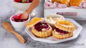 Quick 10-minute scones require just 5 ingredients – perfect for summer