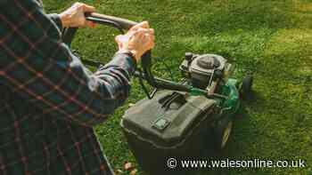 'I'm a gardening expert - here's how often you should mow lawn during heatwave'