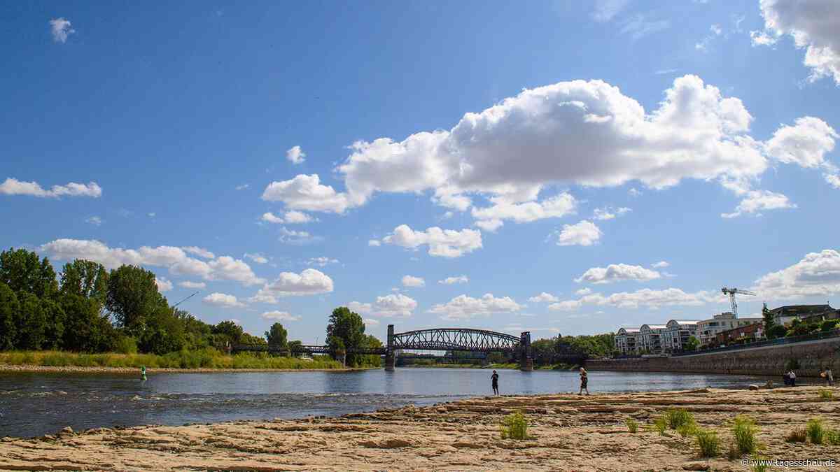 Plattform für Niedrigwasser: Wo Deutschland das Wasser ausgeht