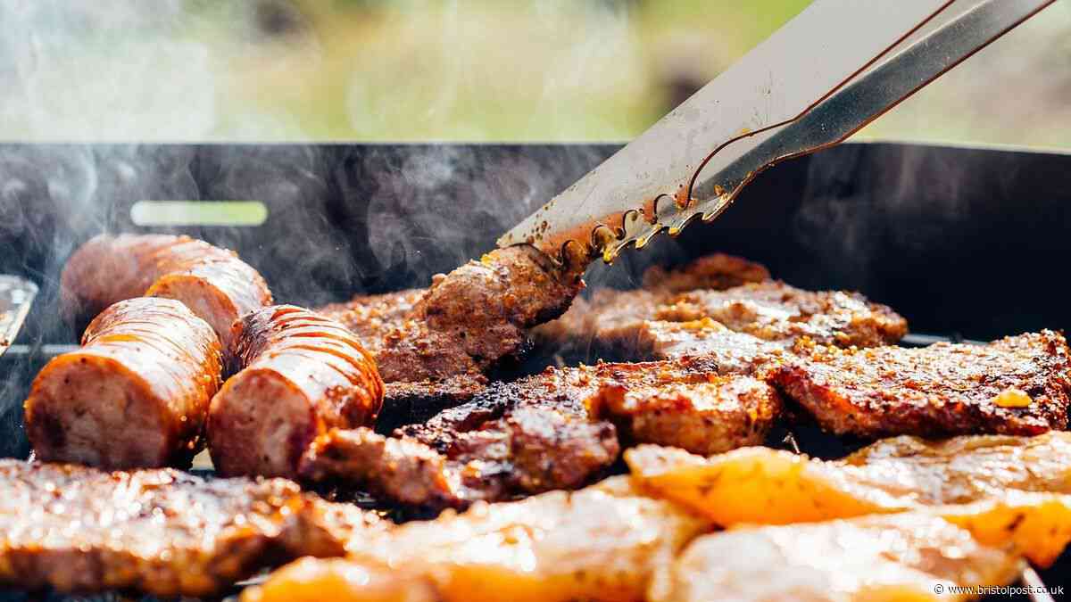 Wildfire warning as heatwave leaves grass in Bristol parks dry and barbecues pose risk