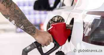 Ontario gas prices cast shadow over daily budgets, summer plans: survey