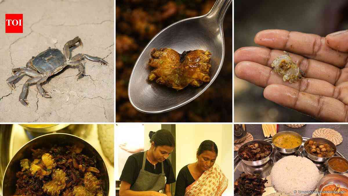 Your Local Scene: Honey, they shrunk the kankras from Sundarbans
