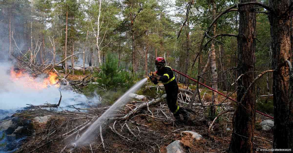 Het bos bij Parijs brandt. ‘Laten we niet vergeten dat deze branden mogelijk zijn gemaakt door de extreme droogte als gevolg van klimaatverandering’
