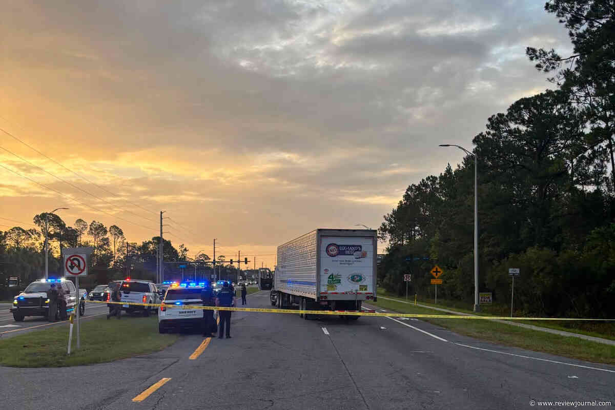 Man fleeing immigration officers is struck and killed by tractor trailer, police say