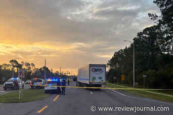 Man fleeing immigration officers is struck and killed by tractor trailer, police say