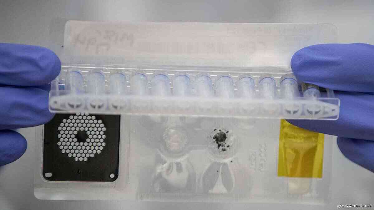 Explosiver Durchfall durch Cyclospora: Welche Lebensmittel besonders gefährdet sind