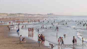 LIVE | Noordzee was nog nooit zo warm in midden juli