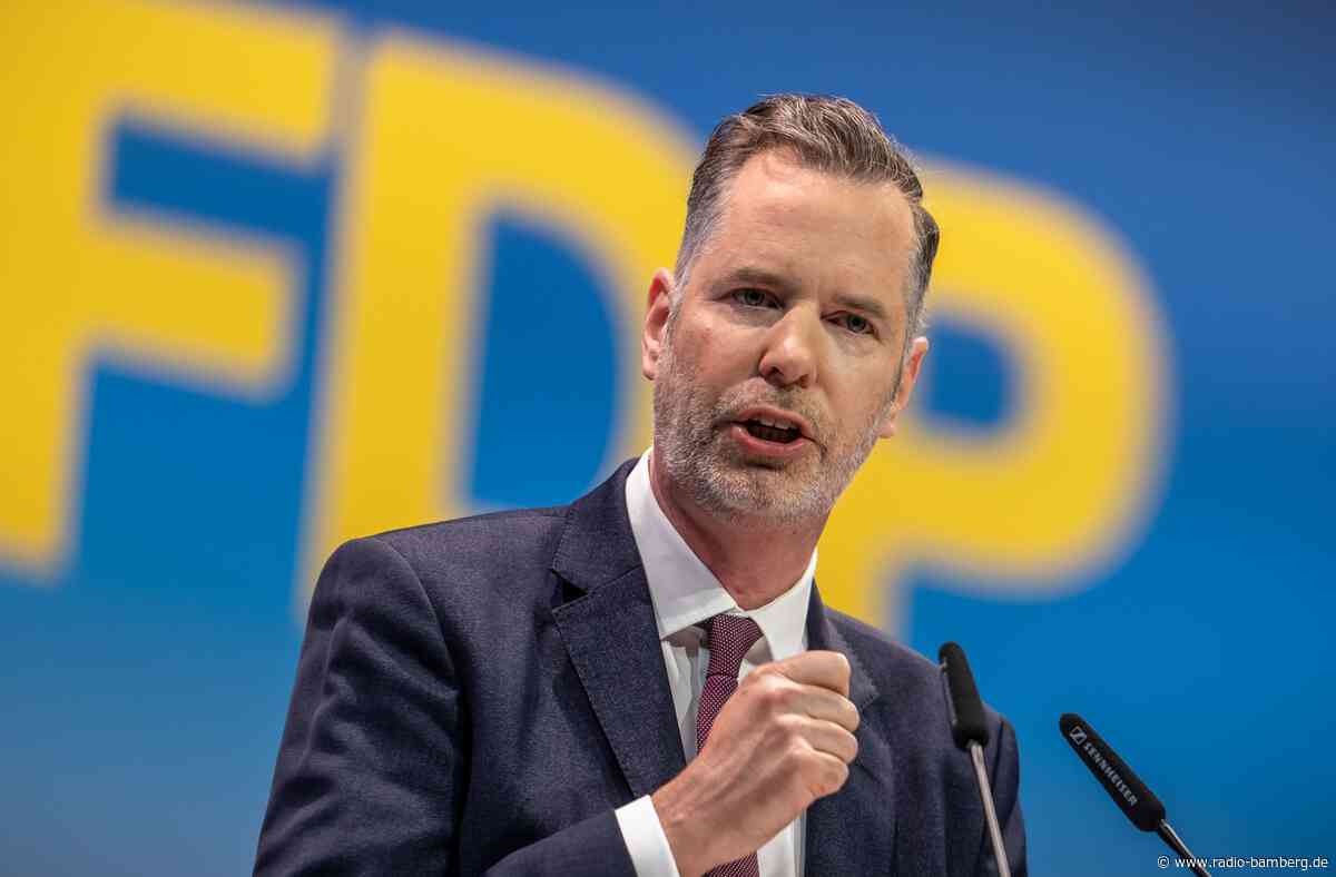 Ex-FDP-Chef Dürr steigt bei Start-up für Öko-Kraftstoffe ein