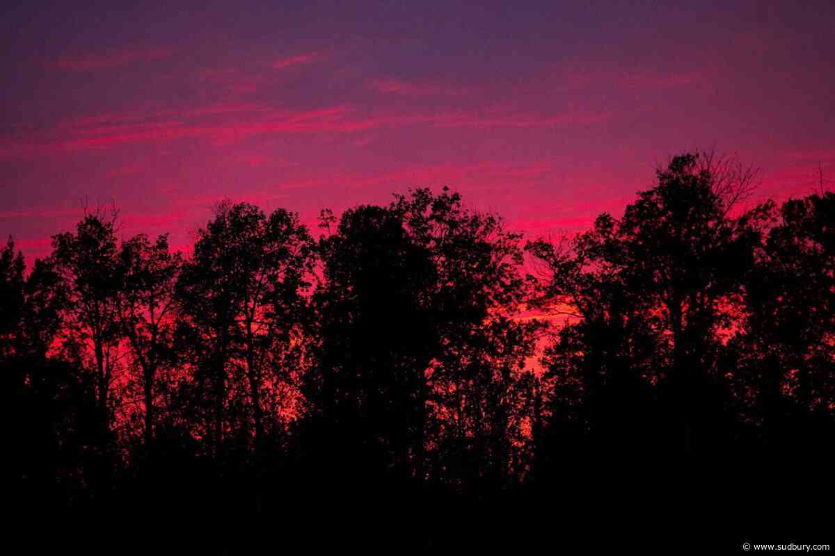 Northern Ontario wildfires destroy homes, buildings in First Nation community