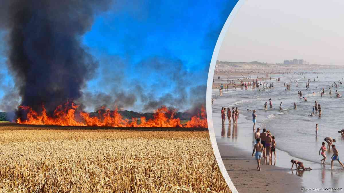 LIVE | Noordzee was nog nooit zo warm in midden juli, graanoogst in vlammen op in Brabant