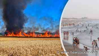 LIVE | Noordzee was nog nooit zo warm in midden juli, graanoogst in vlammen op in Brabant