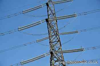 Government downplays energy grid blackout risk amid extreme heatwave