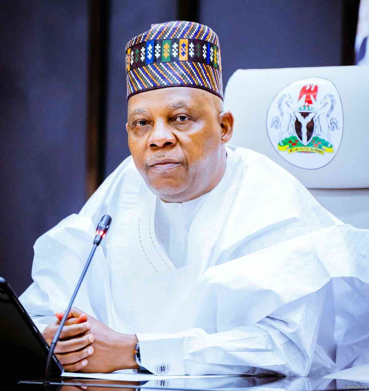 2027: Shettima’s nomination as VP candidate strategic- APC vice chair