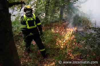 Incendies de Fontainebleau : qui sont les deux suspects placés en détention provisoire et qui ont « reconnu leur implication volontaire » ?