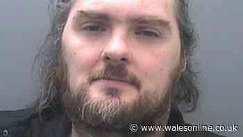 Convicted paedophile travelled from Wales to Scotland to meet 11-year-old girl