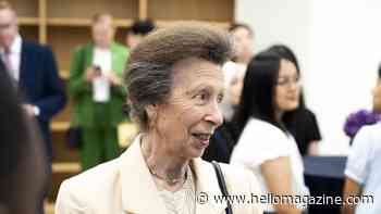 Princess Anne left with huge smile following unusual royal outing