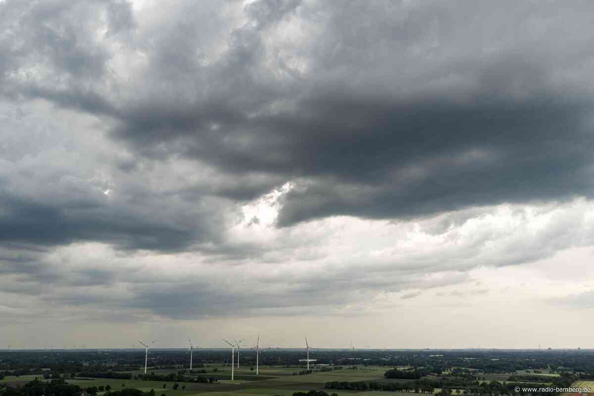 «Raps von Hagel und Sturm abrasiert» – Millionenschäden