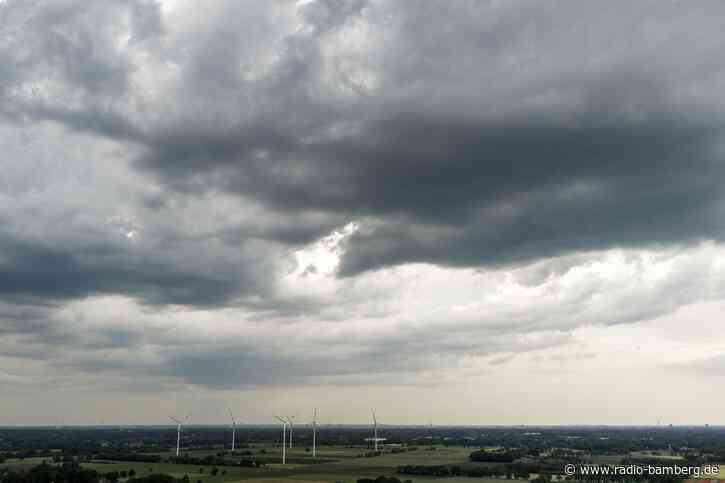 «Raps von Hagel und Sturm abrasiert» – Millionenschäden