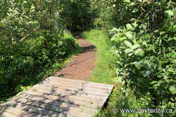 Volunteers sought for Laurier Woods trail work this weekend in North Bay