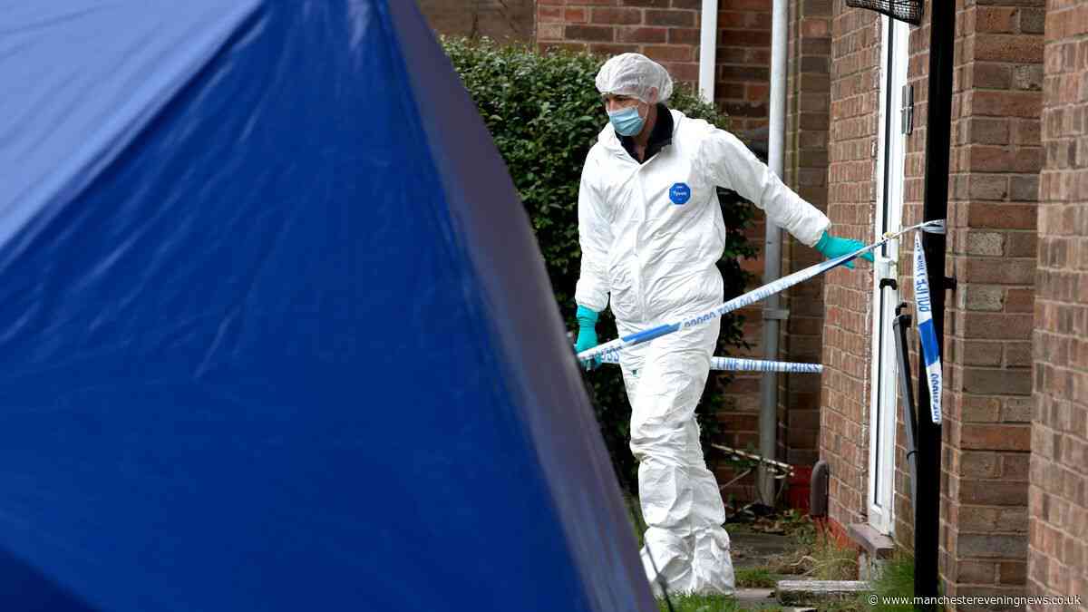 Husband stabbed wife to death then 'smirked' and 'looked proud' about it, murder trial hears