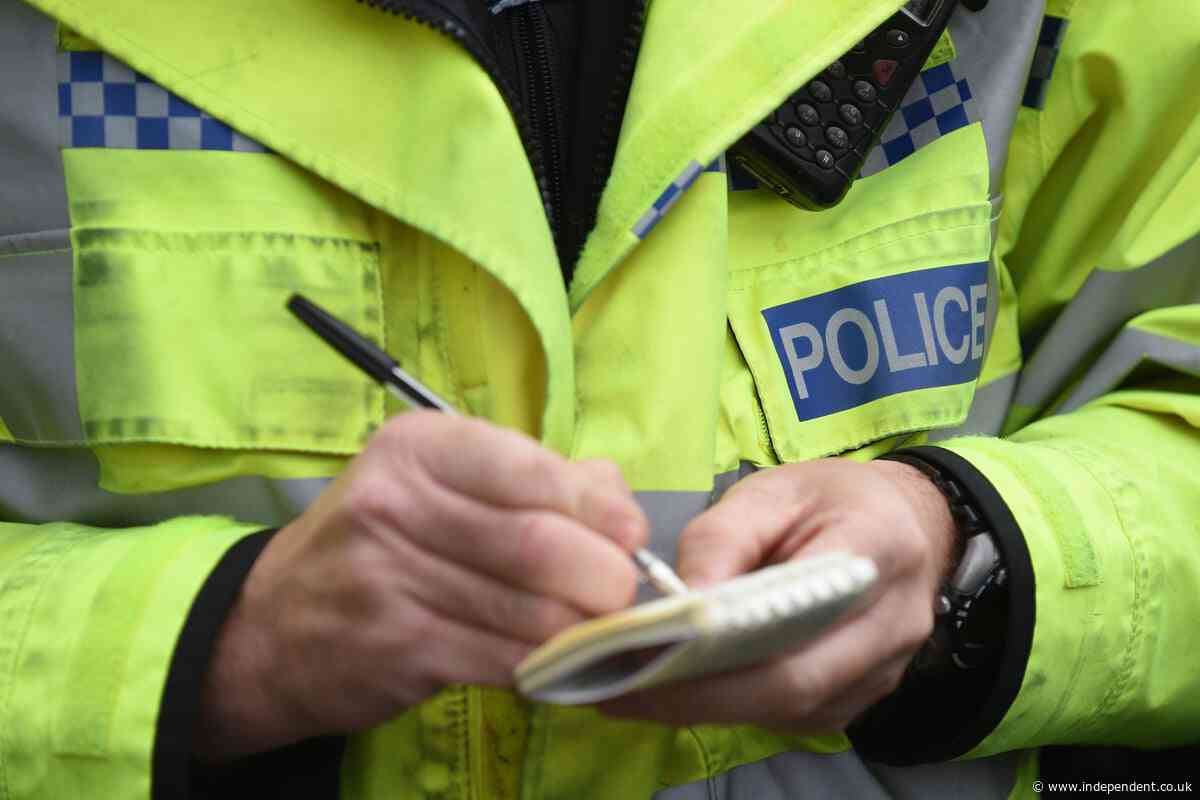 Teen charged with terror offence over plan to target mosques in London