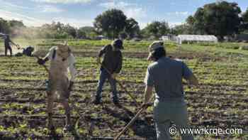 Free South Valley farming exhibit opens Saturday, July 18 in Albuquerque