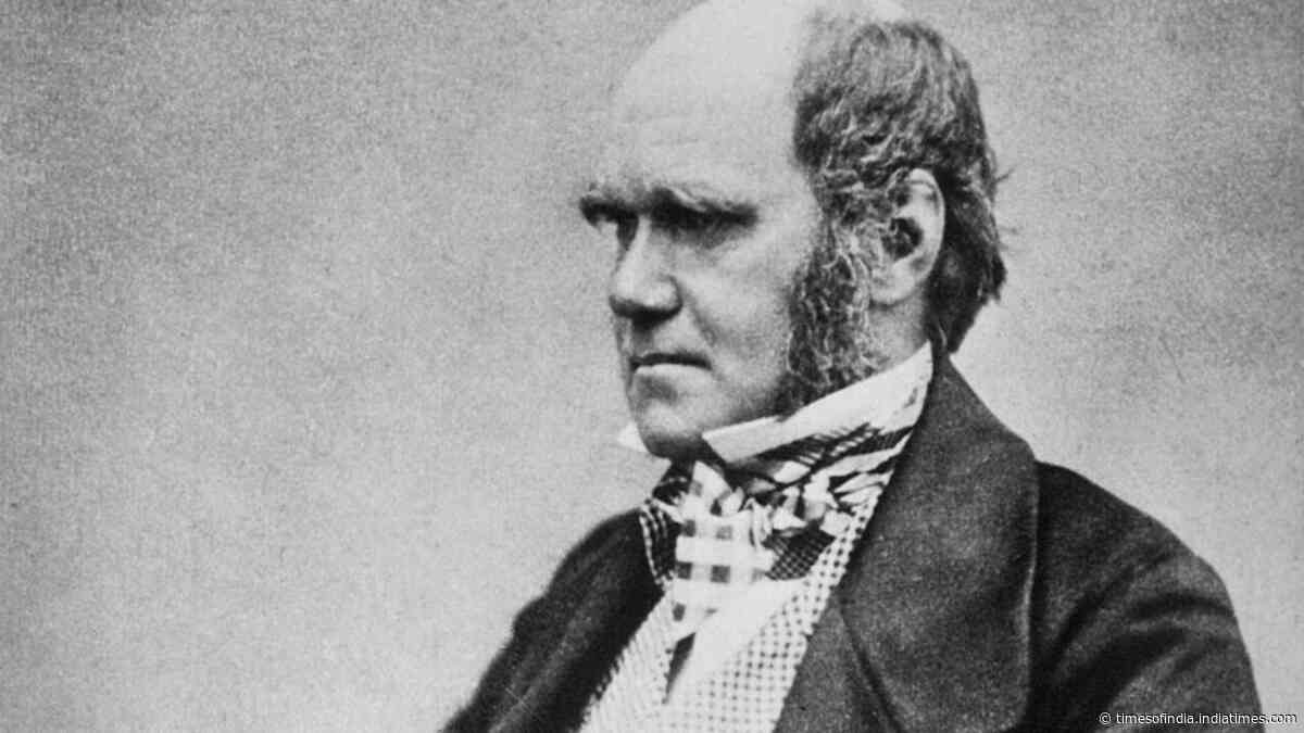 Quote of the day by Charles Darwin: "An American monkey, after getting drunk on brandy, would never touch…" - a witty observation on why humans often repeat the mistakes they already know can harm them