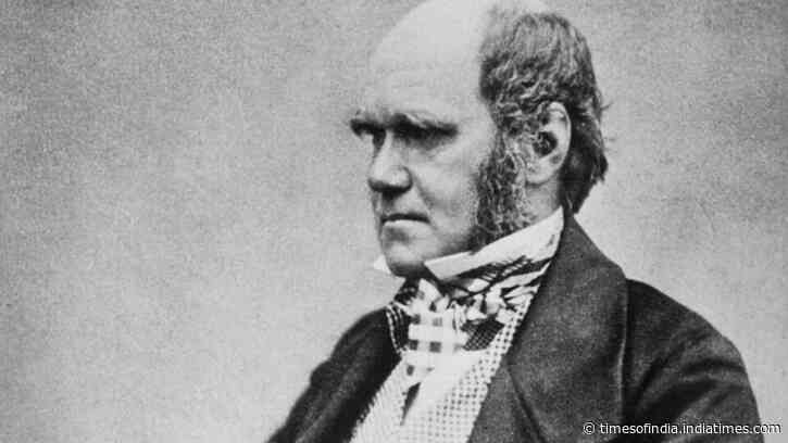 Quote of the day by Charles Darwin: "An American monkey, after getting drunk on brandy, would never touch…" - a witty observation on why humans often repeat the mistakes they already know can harm them