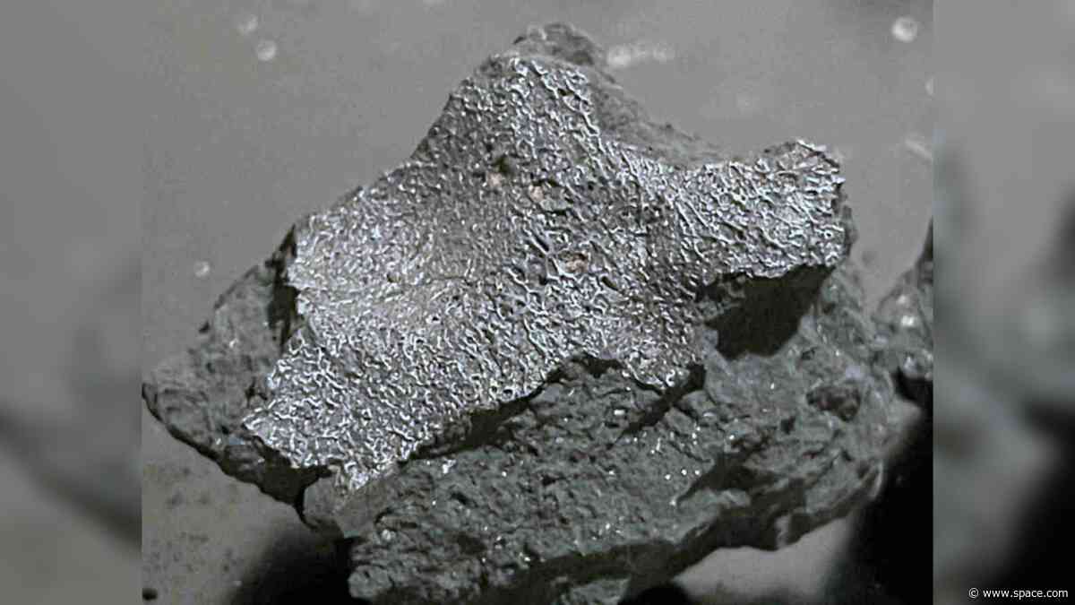 Meteorite that crashed through New Jersey house could hold the clues to life's origins