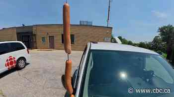 Burning question: Can this summer sizzle cook a hot dog on a vehicle antenna?