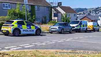 Police make attempted murder arrests after man seriously injured