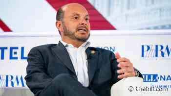 House Homeland Security chair Garbarino vows ICE oversight after shootings