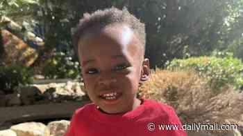 Toddler who lived in foster care for first nine months of his life suffers horrific fate after being returned to his biological mother