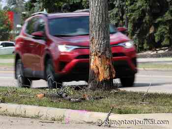 Opinion: Alberta’s Care-First auto insurance reform puts patients first