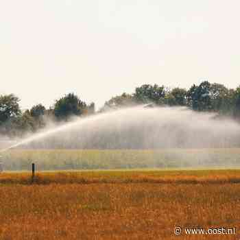 Gericht maaien en zuinig sproeien: waterschappen in actie tegen droogte