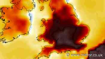 UK weather maps show new 36C heatwave surge with nine counties at 35C or more