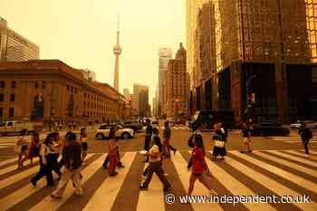 Toronto’s skies turn yellow as dangerous smoke from over 100 wildfires engulfs city